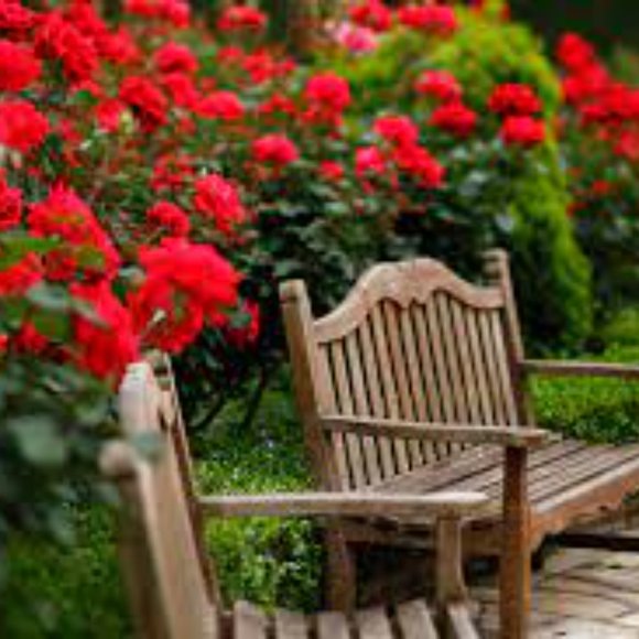 Meet your Posher, Kurious - Picture 3 of 3